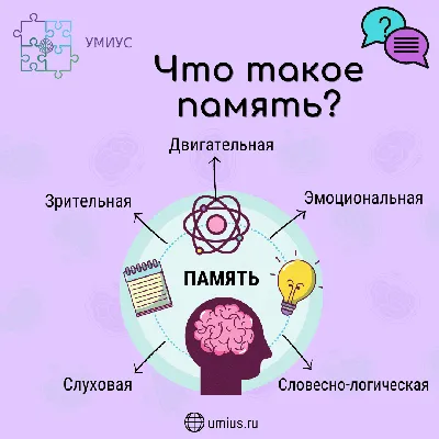 Память человека