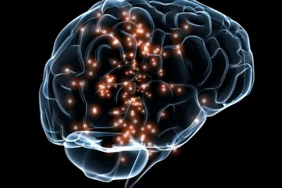 5 советов как улучшить память и работу мозга — Work.ua