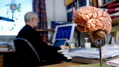 Потеря памяти и воспоминания стареющего мозга (New Scientist,  Великобритания) | 18.01.2022, ИноСМИ