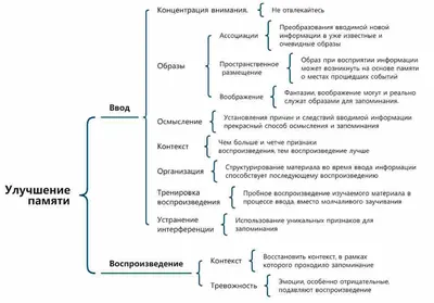 Ученые смогли восстановить память человека с помощью чипов - Российская  газета