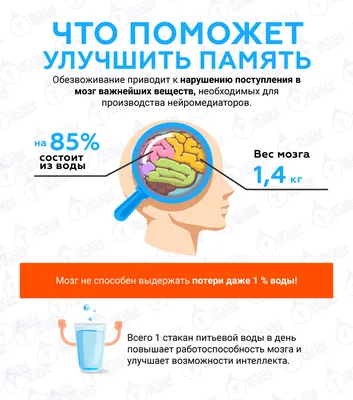 Memoryuniv-referat-brain-memory-18 | UKRUBEKAZ