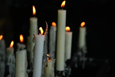 Преследуй вирус, не людей\": присоединяйтесь к виртуальному мемориалу  зажжения свечей в память умерших от СПИДа и COVID-19 - Delfi RUS