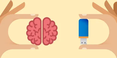 Вот 23 простых упражнения, которые натренируют ваш мозг и память | Sobaka.ru