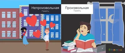 Японские ученые «стерли память» мыши