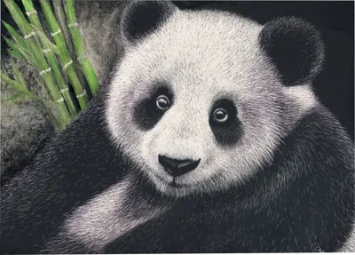 Panda themed string art on wooden panel – Thecraftpanda