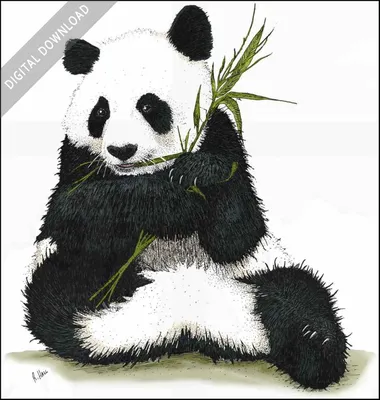 Panda Art 9 - Mobile Wallpaper by Wilb-Digital on DeviantArt