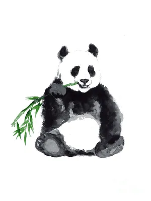 Digital art of a cute panda bear on Craiyon