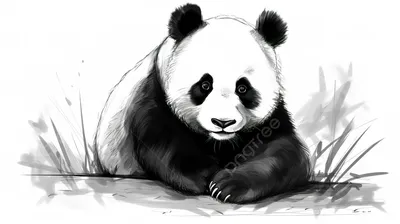 Мультяшная панда картинки - 71 фото