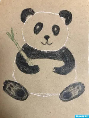 Панда рисунок милый - 72 фото
