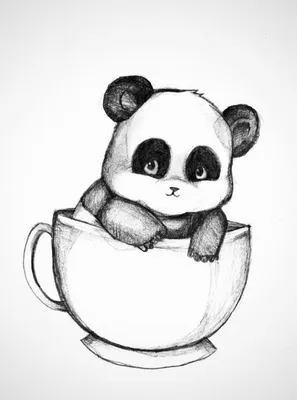 Легкие картинки для срисовки начинающим (50 рисунков) | Panda drawing, Cute  panda drawing, Panda sketch