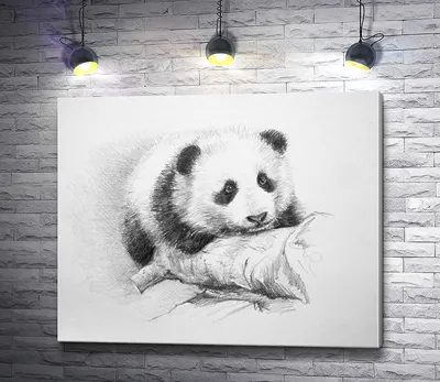 Иллюстрация медведя панды сидящего на траве, распечатать картинку панды,  панда, белый фон картинки и Фото для бесплатной загрузки