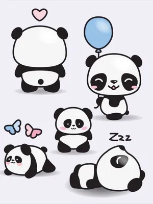 Красная панда рисунок для срисовки - 60 фото