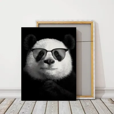 Как нарисовать красную панду карандашом? - Животное панда: энциклопедия,  все про панду!