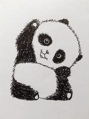 Картинки для срисовки панда - 84 фото