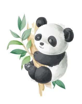 Cute Panda Cartoon Illustration Drawing White Background Stock Illustration  - Illustration of elephant, safari: 220313484