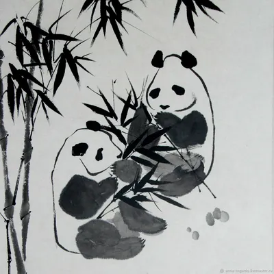 Collection Cute Cartoon Panda Character In Various Poses. Клипарты, SVG,  векторы, и Набор Иллюстраций Без Оплаты Отчислений. Image 175339966