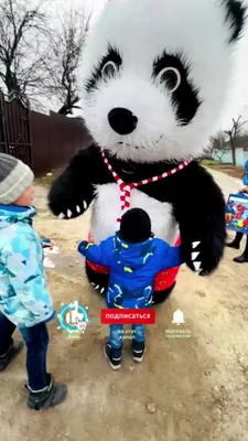 Панда На День Рождения | TikTok