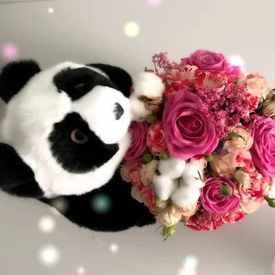Панда с цветами | Пикабу