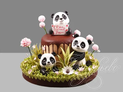 рисованный мишка панда с цветами бесшовный узор симпатичный рисунок дизайн  фона дети текстиль дизайн вектор Иллюстрация вектора - иллюстрации  насчитывающей покрашено, ребяческо: 225854681