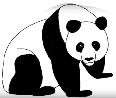 Милые рисунки панда/рисунок панда/Cute panda drawings/Panda Drawing/ |  Panda drawing, Cute panda drawing, Cute panda