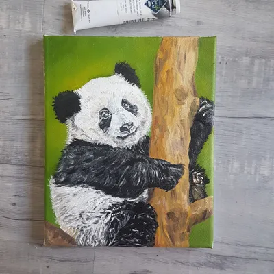 Рисунок панда карандашом для детей - 60 фото