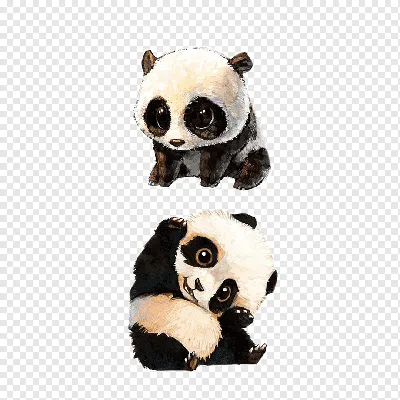 Два милых панда иллюстрация вектора. иллюстрации насчитывающей близнецы -  160036611
