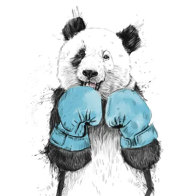 Panda💗 Рисунок панды, Рисунки панды, Панда, panda desenho kawaii -  thirstymag.com