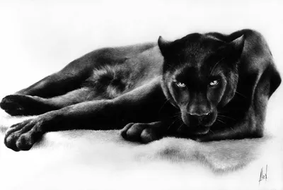 Чёрная пантера кошка в прыжке, …» — создано в Шедевруме