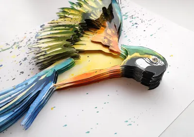 Папертоль — создаем объем из бумаги | Цветное.ру - онлайн гипермаркет | Дзен