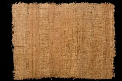Картинки папируса - 70 фото