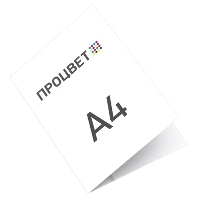 Папка картонная А4 Эконом с картонным карманом (корешок 4 мм) | Процвет