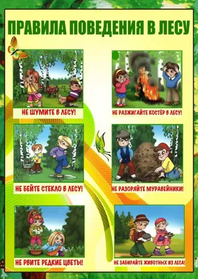 Универсальная ширма под папку-передвижку на 6 карманов А4 – Психологическое  зеркало и тИГРотека