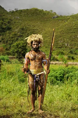 Вождь племени папуасов, акварель …» — создано в Шедевруме