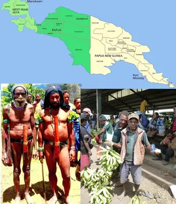 Рэсколы — как выглядят молодежные банды папуасов Новой Гвинеи