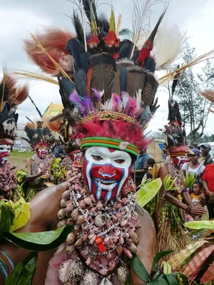 Папуасы из Новой Гвинеи (37 фото) » Невседома