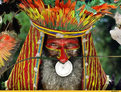 Николай Миклухо-Маклай: «Мой предок — до сих пор живая легенда для папуасов».  Люди. Нация