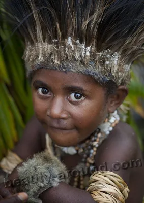 Знакомство папуасов с человеком мира Миклухо-Маклаем | erudirovannyj_yozh |  Дзен