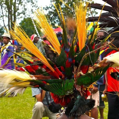 Папуасы Новой Гвинеи. Их жизнь и особенности - Антропогенез.РУ