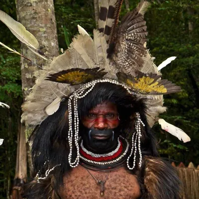 Шокирующие обычаи племени папуасов: 5 снимков, которые сложно забыть