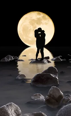 Картина по номерам «Влюбленная пара на закате» GX44617 40х50 | PICua  (ID#1714060801), цена: 350 ₴, купить на Prom.ua