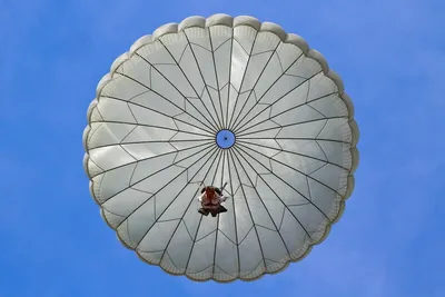 Спасательный парашют Octagon-2 Niviuk купить с доставкой по России, по  выгодной цене - компания ParaDrive