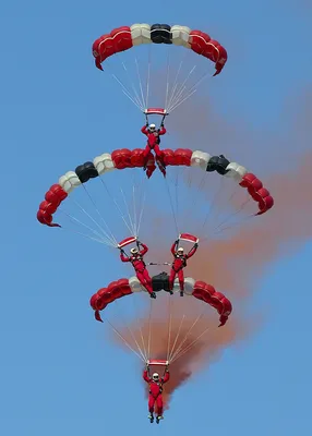Первый русский парашют: как ранец РК-1 изменил авиацию — 09.11.2021 —  Lifestyle на РЕН ТВ