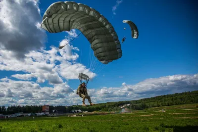 Виды парашютного спорта | BFAS