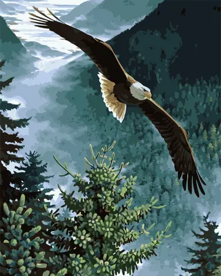 Трехметровый парящий орел появился в Уссурийске - UssurMedia.ru
