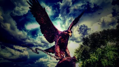 Орел на мишени hd 8k фон обоев стоковое фотографическое изображение |  Премиум Фото