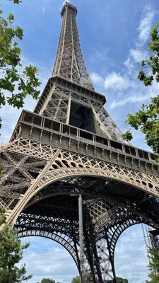 Скачать 800x1420 эйфелева башня, париж, ночной город, огни города, франция  обои, картинки iphone se/5s/5c/5 for parallax