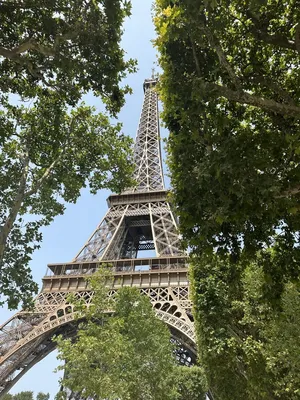 Обои на рабочий стол Eiffel Tower / Эйфелева башня с подсветкой в ночном  Париже / Paris, Франция / France, фотограф Selaru Ovidiu, обои для рабочего  стола, скачать обои, обои бесплатно