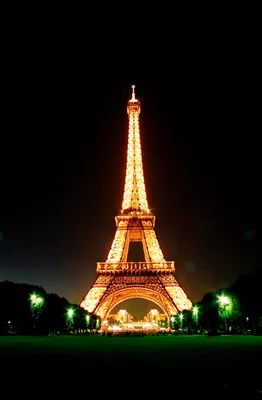 Фотообои Осень в Париже вид на Эйфелеву башню купить на стену • Эко Обои