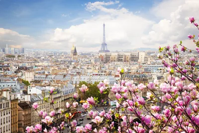 Обои Города Париж (Франция), обои для рабочего стола, фотографии города,  париж, франция, эйфелева, башня, france, eiffel, tower, paris Обои для  рабочего стола, скачать обои картинки заставки на рабочий стол.