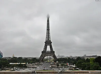 ᐉ Фотообои флизелиновые 312x219 см Consalnet город Париж на картине  (11470VEXXL)